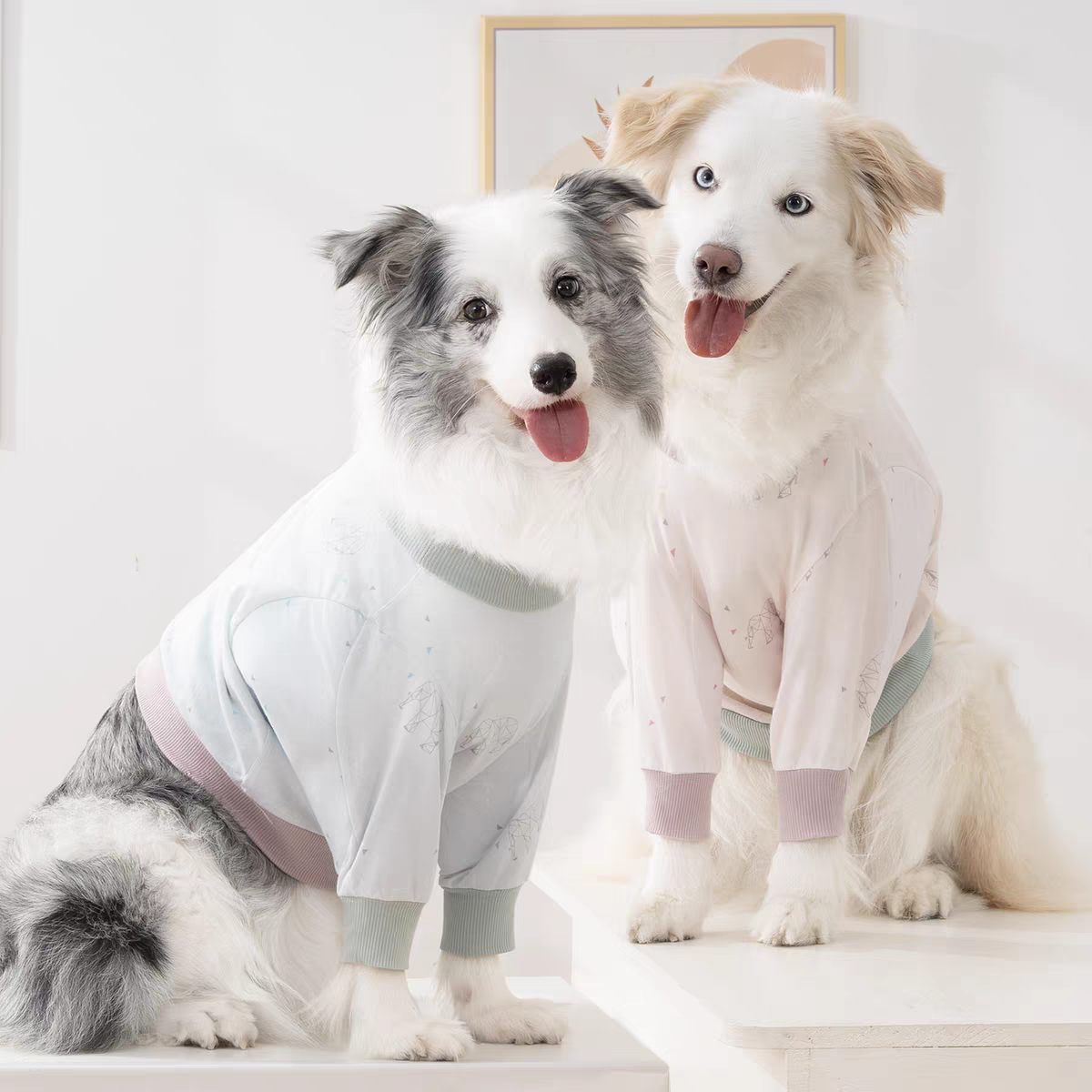 Winter Clothing Types - Big Dog Clothes Winter Short Type