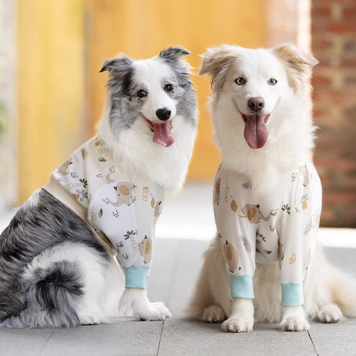 Winter Clothing Types - Big Dog Clothes Winter Short Type