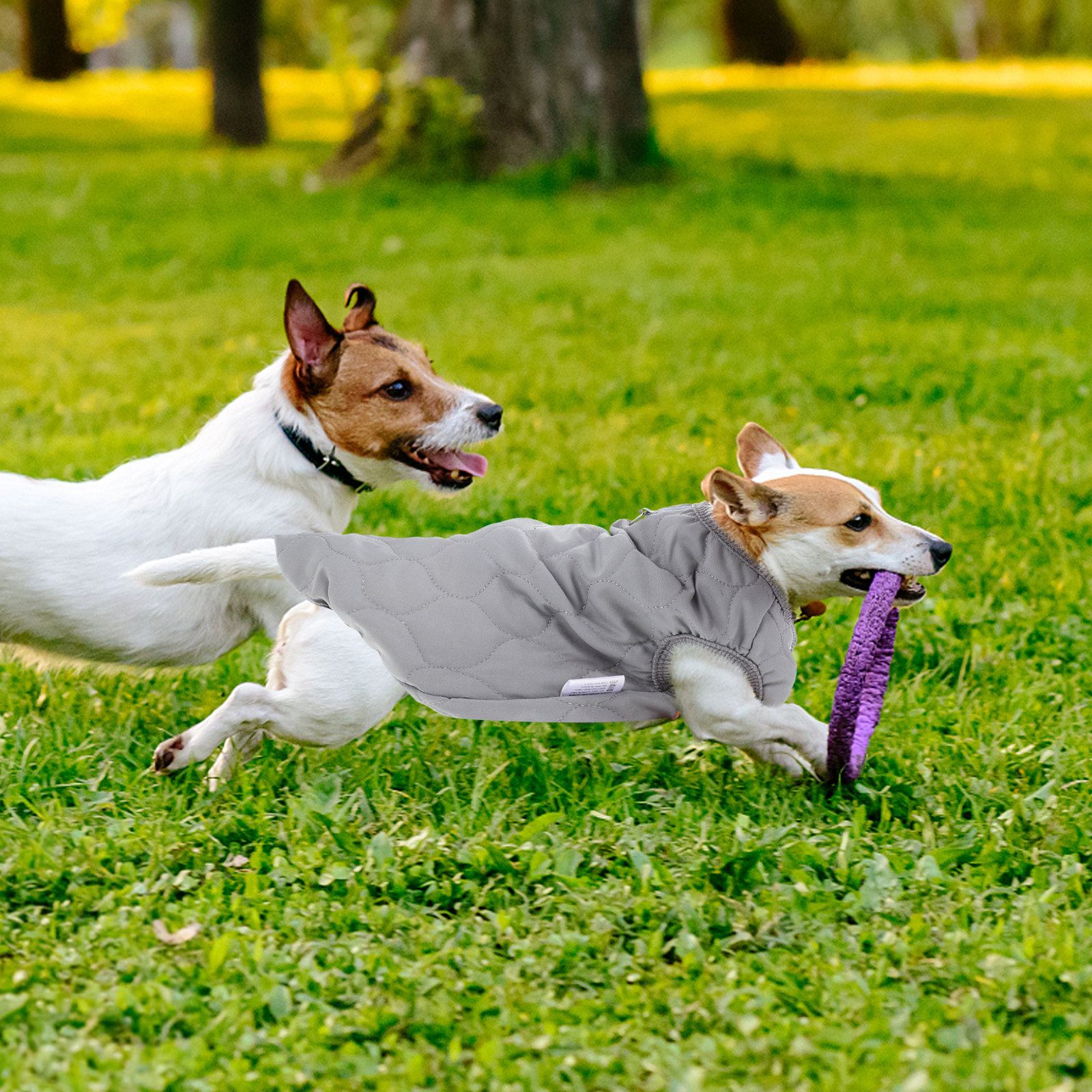 Dog Vest Type Coat Warm-Keepin - Winter Clothing Types avaliação e preço