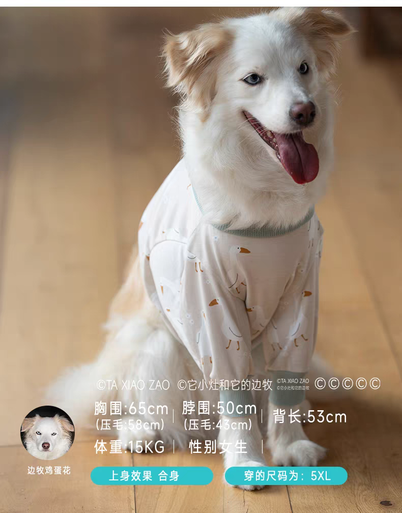 Big Dog Clothes Winter Short T - Winter Clothing Types avaliação e preço