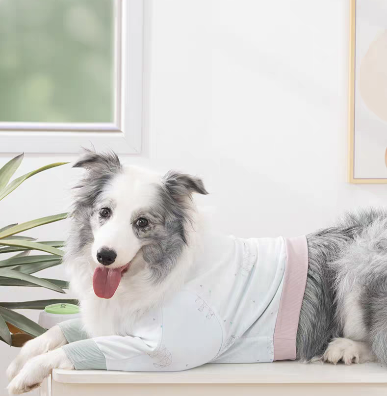 Big Dog Clothes Winter Short T - Winter Clothing Types avaliação e preço