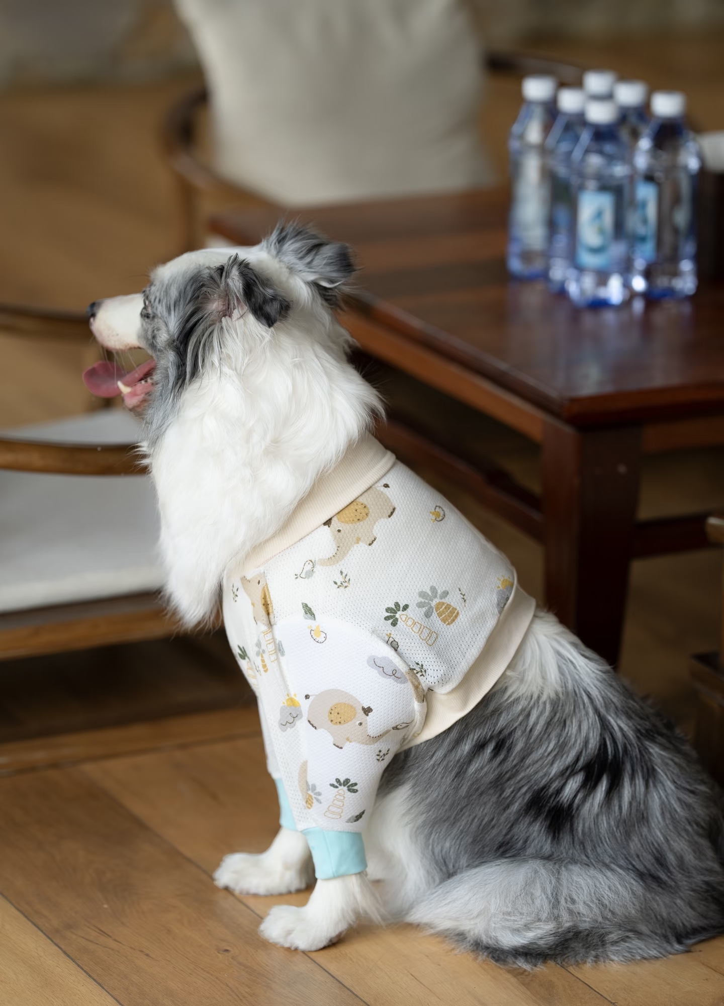 Big Dog Clothes Winter Short T - Winter Clothing Types avaliação e preço