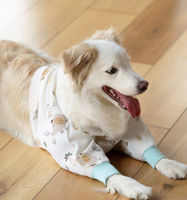 Big Dog Clothes Winter Short T - Winter Clothing Types avaliação e preço