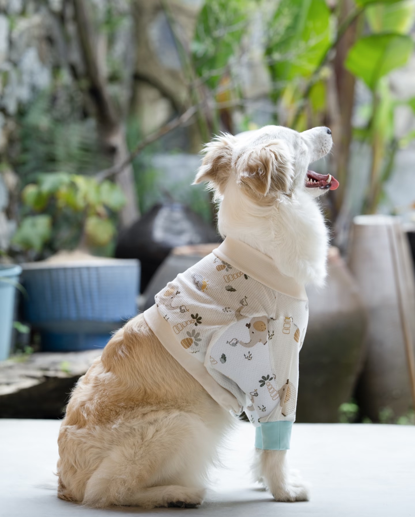 Big Dog Clothes Winter Short T - Winter Clothing Types avaliação e preço